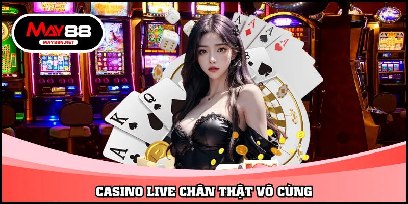 Casino live chân thật vô cùng